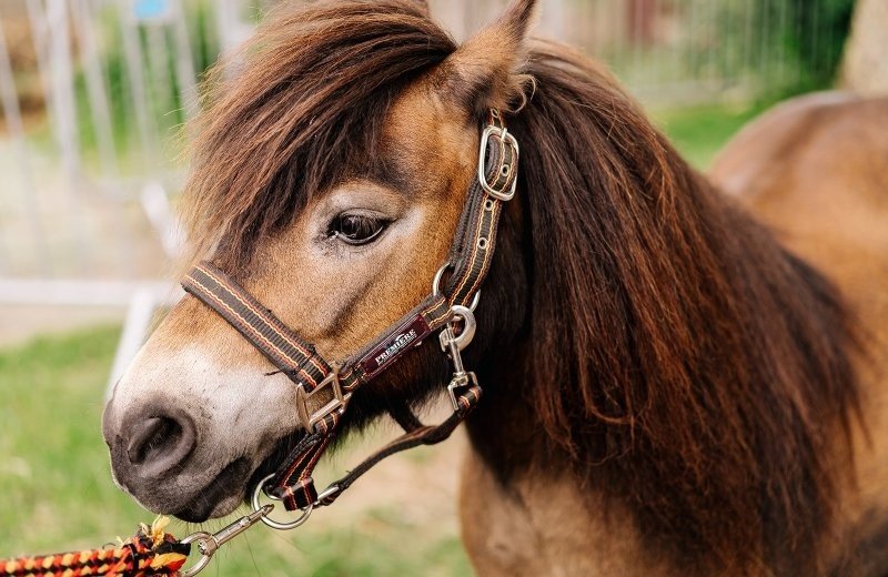 Marloesniemeijerfotografie 135 6705463bafae0